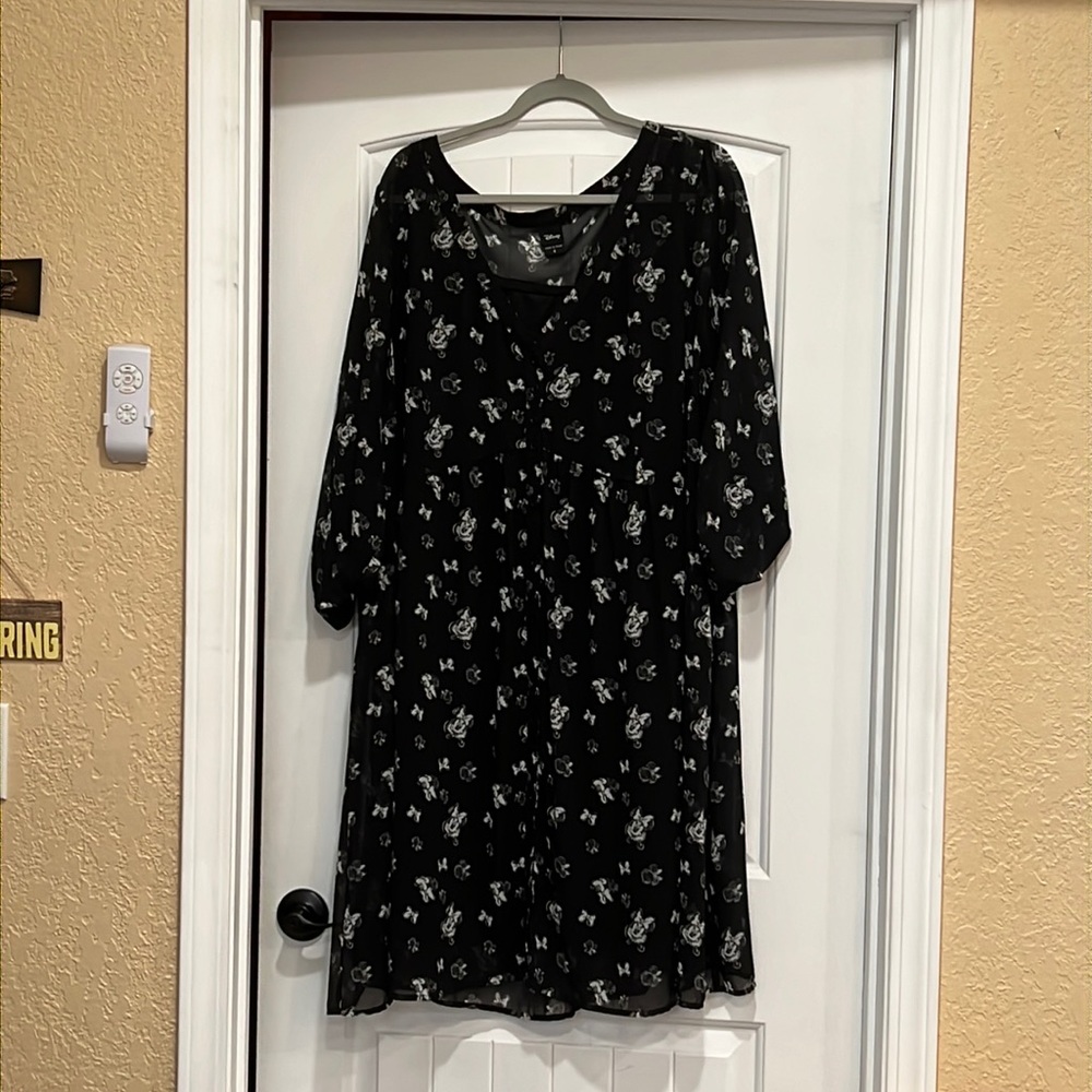 Disney Sheer Skater Dress with Inner Liner